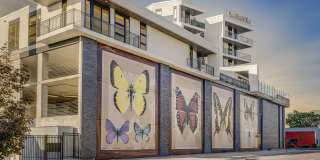 One Burton Gallery 43