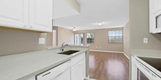 2861 N Oakland Forest Drive Gallery 4