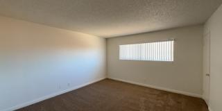 2658 Kline Circle Gallery 14