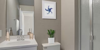 The Aurora Gallery 11