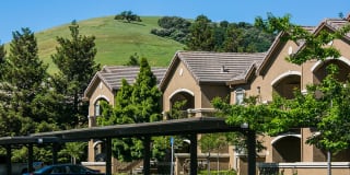 Rolling Oaks Gallery 10