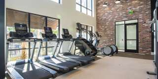 Alta Longwood Gallery 9