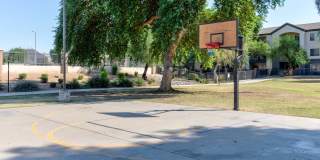 Sweetwater at Metro North Gallery 101