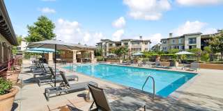 Hollister Village Gallery 26