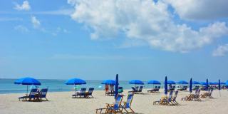 2901 Fiore Way Gallery 18