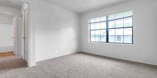 Cute 2 Bed 1 Bath Unit in Quiet Fourplex Gallery 4