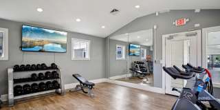 Harmony on Main Gallery 23