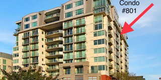 0bd/1ba Bellevue Condo Gallery 1