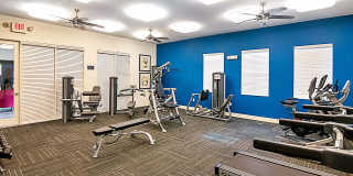 Blu Atlantic Gallery 31