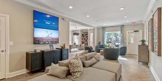 Arium Vinings Station Gallery 29