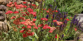 111 S Sixth Street Gallery 42