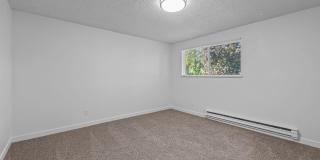 The Willows Gallery 2