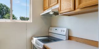 Dolphin Apartments Gallery 18