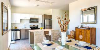 Ocean 650 Gallery 8