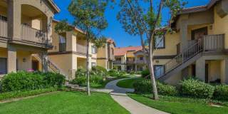 Club Pacifica Gallery 14