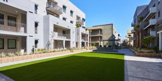 The Willows Gallery 5