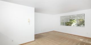 Cedar Park 8 Gallery 13