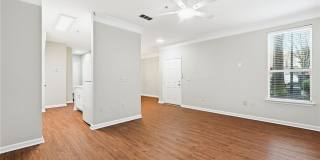 Avana Ridenour Gallery 10