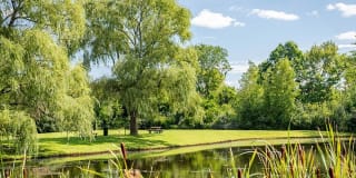 Princeton Park Apartments Gallery 56