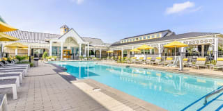 Capital Crest at Godley Station Gallery 64