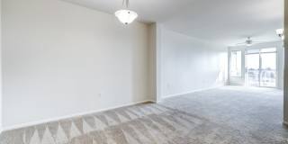 Apex Apartments Gallery 12