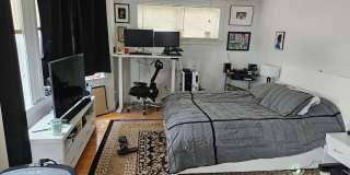 Beautiful 5 bed penthouse unit in lower Allston available 9/1/26 Gallery 10