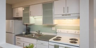 805 Dahlia Gallery 14
