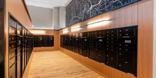 Alexan Main Street Gallery 7