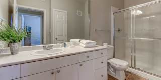 The Saulet Gallery 14