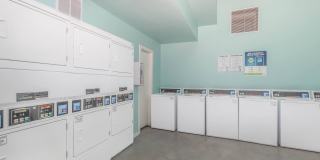 Metro Tucson Gallery 41