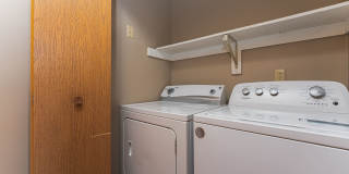 Woodland Trace Gallery 24