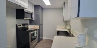 The Pines Apartments Gallery 17