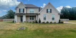Custom built home in The Orchard, Lewisburg schools! Gallery 1