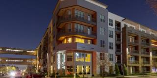 The Circuit Gallery 50