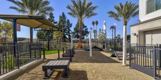 Vineyards Gallery 103