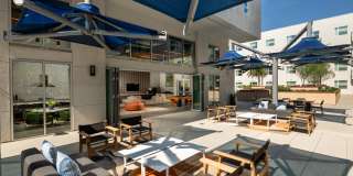 Aston at Gateway Gallery 14