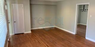 **Stunning New Rental Opportunity in Park Hill!** Gallery 19