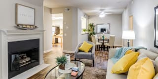 Aliso Creek Gallery 17