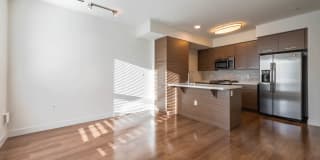 Next on Sixth Gallery 13