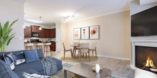 City Walk at Woodbury Gallery 13