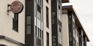 Northwood Gallery 10