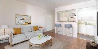 Rio Apartments Gallery 14