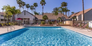 Palm Court Apartment Homes Gallery 14