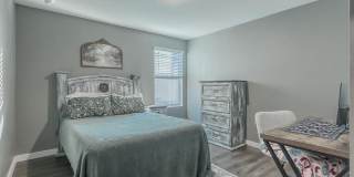 12634 CACAO TREE Trail Gallery 20