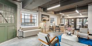 Plant 64 Gallery 45