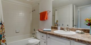 Reflection Pointe Gallery 22