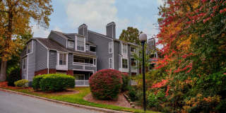 Highland Oaks Gallery 46
