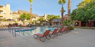 Palomar West Gallery 13