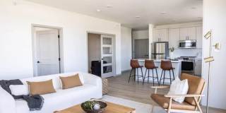 The BLU The BLU Gallery 9