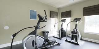 Ellington Woods Apartments Gallery 20